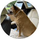 Allen Noland profile picture