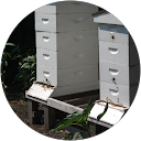 Chrissy Dittmann-Terry profile picture